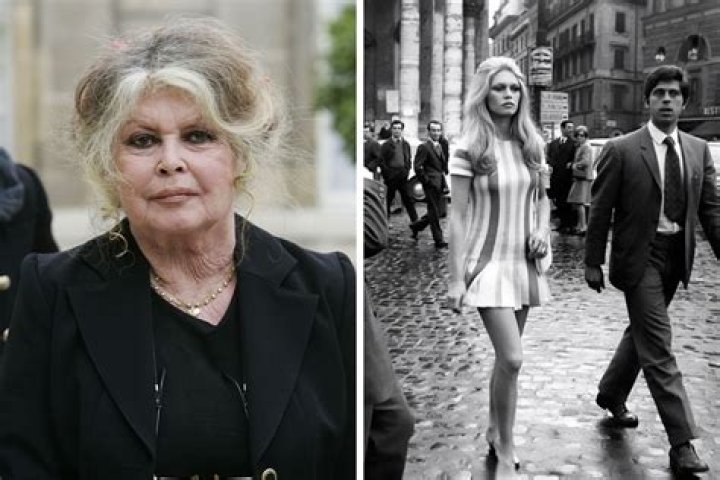 Brigitte Bardot’s Son in 2024: A New Chapter Unfolds