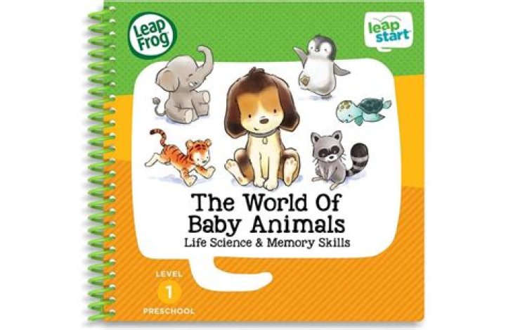 Discovering the World of Baby Suji: A Delightful Culinary Journey