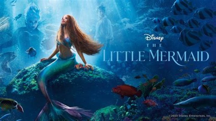 Explore the Enchantment: Movies About Mermaids
