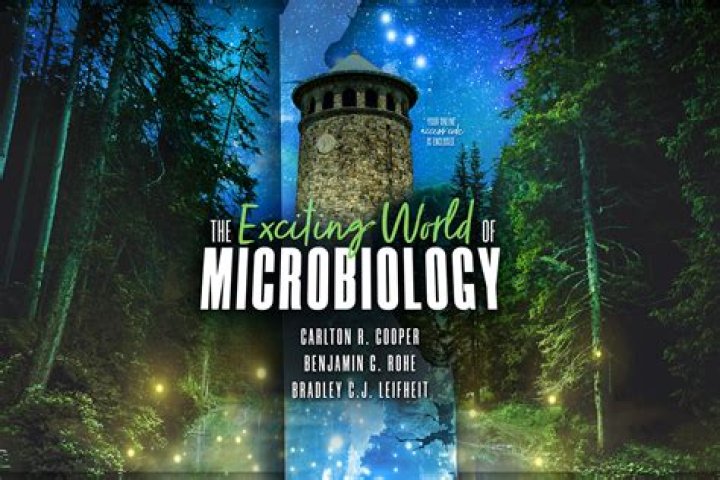 Exploring the Exciting World of hd4hub 2024