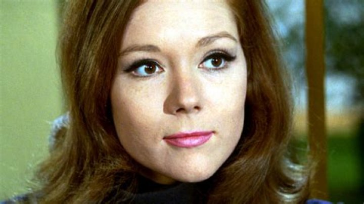 Exploring the Life and Career of Son Leo