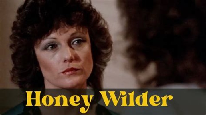 Honey Wilder: The Enigmatic Star of Adult Entertainment