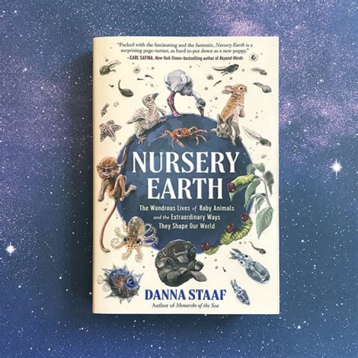 The Allure of Jameliz Only: A Journey into the Unique World of a Rising Star