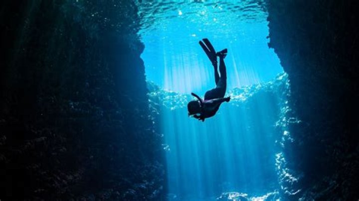 Unveiling the Art of Fap Tributes: A Deep Dive