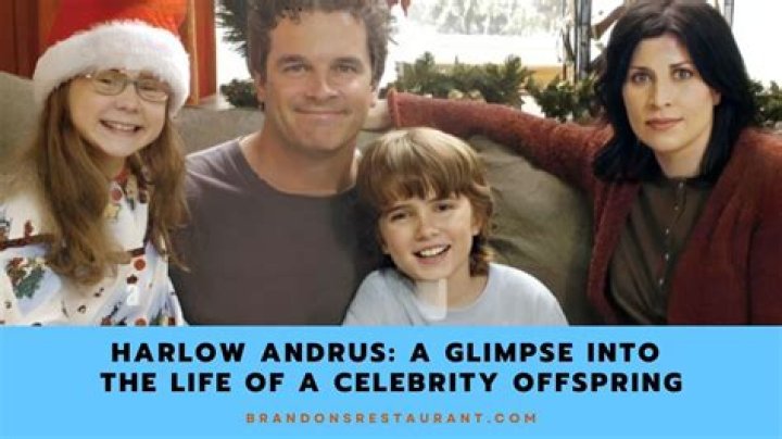 Unveiling the Life and Impact of Harlow Andrus