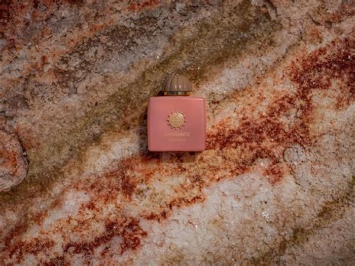 Unveiling the Wealth of Sebastian Marroquin: A Deep Dive into His Net Worth